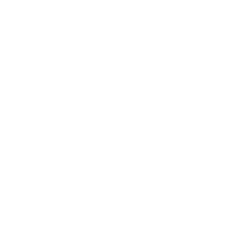 Icon engineering