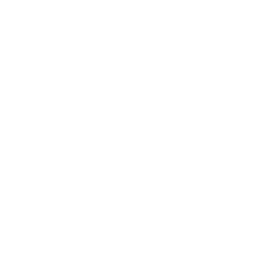 Icon project management