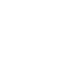 Icon quality-control