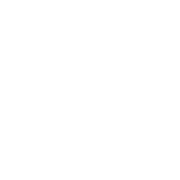 Icon settings