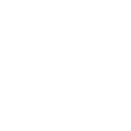Icon supply chain